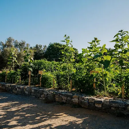 Village Heights Otel Hersonissos (Crete)